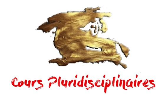 arts martiaux, krav maga, self defense, mma, pancrase, canne defense,boxe thai,